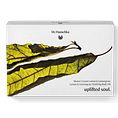 Dr. Hauschka Uplifted Soul Body Giftset 1ST