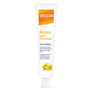 Weleda Arnica Zalf 25GR