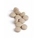 Biotics 6-Plus Tabletten 90TB