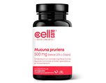 CellCare Mucuna Pruriens 500mg Capsules 60CP