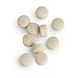 Biotics Cytozyme-PAN Tabletten 90TB