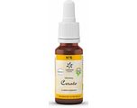 Lemon Pharma Bach NO.5 Cerato 20ML Lemon Pharma Bach NO.5 Cerato 20ML