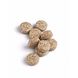 Biotics Cytozyme-LV Tabletten 60TB