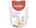 Bolsius Geurkaars True Scents Magnolia 1ST