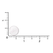 Vitakruid Vitamine D3 25 mcg / 1000 IE 120TB