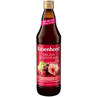 Rabenhorst Welzijn - met ijzer 750ML Rabenhorst Welzijn - met ijzer 750ML