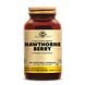 Solgar Hawthorne (Meidoorn) Berry Capsules 100VCP Solgar Hawthorne (Meidoorn) Berry Capsules 100VCP