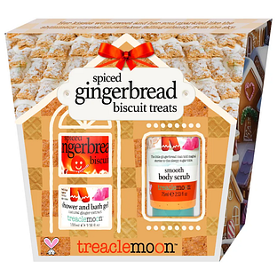 Treaclemoon Spiced Gingerbread Biscuit Treats Giftbox 1ST