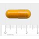 Orthica Curcuma Capsules 60CP
