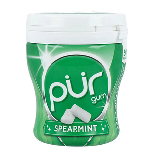 Pur Gum Spearmint 70GR