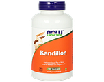 NOW Kandillon Capsules 180VCP