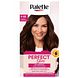 Poly Palette Perfect Gloss 4-68 Roodbruin 1ST