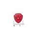 Dagravit Kids-Xtra Multivitaminen Gummies 60ST Afmeting gummie