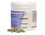 Holisan Livocin Capsules 100CP