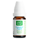 Vsm Kind 0-3 Chamodent Druppels 10ML