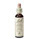 Bach Flower Remedies Paardekastanje 35 20ML