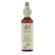 Bach Flower Remedies Wilg 38 20ML Bach Flower Remedies Wilg 38 20ML