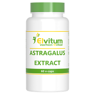 Elvitum Astragalus Extract Capsules 60CP