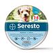 Bayer Seresto Halsband Kleine Hond 1ST Bayer Seresto Halsband Kleine Hond 1ST