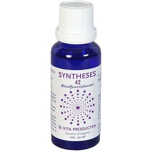 Vita Producten Vita Syntheses 42 Bloedfunctieherstel 30ML