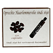 Haarlemmerolie Capsules 120CP