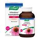 A.Vogel Echinaforce Kauwtabletten sterk** + Vitamine C Tabletten 60KTB A.Vogel Echinaforce Kauwtabletten sterk** + Vitamine C Tabletten 60KTB