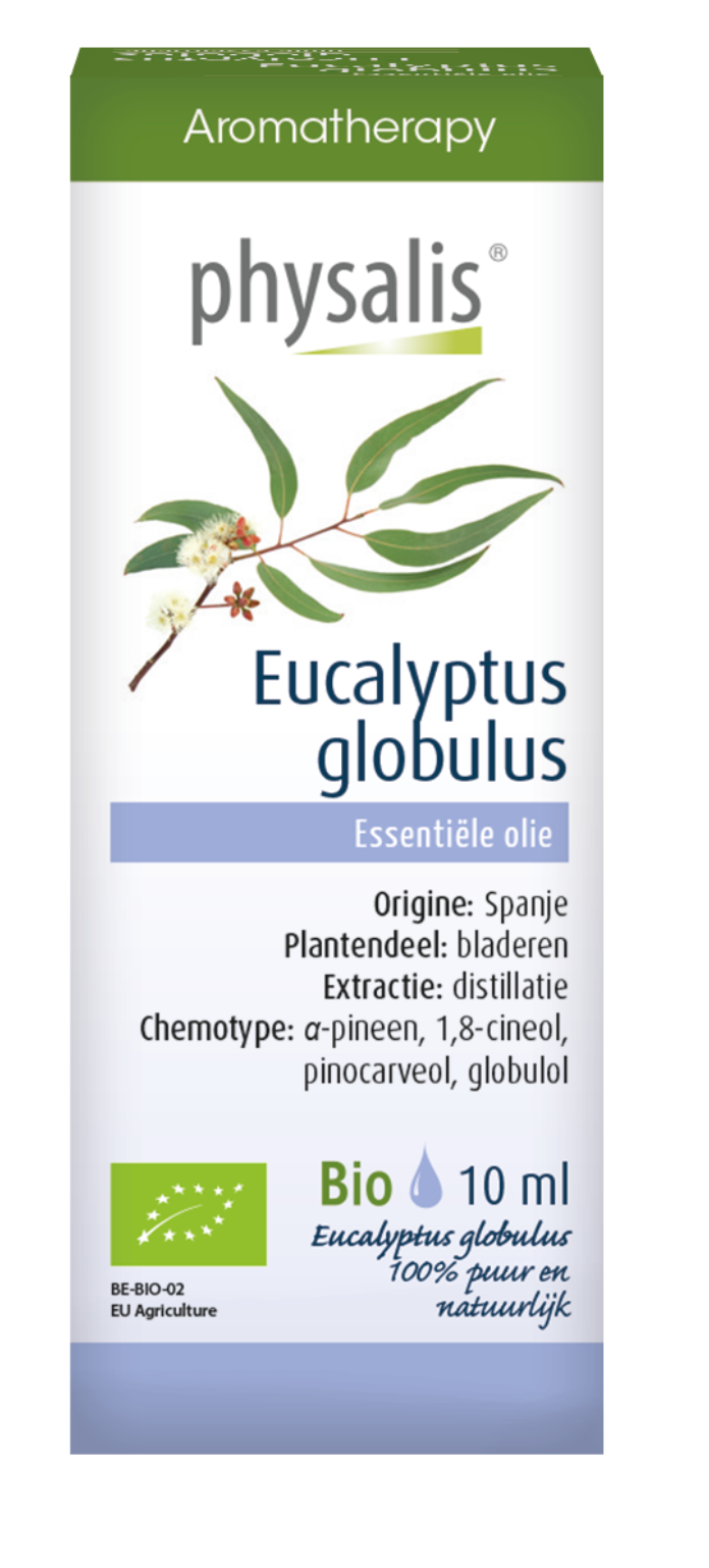 Physalis Aromatherapy Eucalyptus Globulus