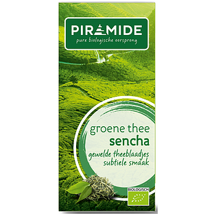 Piramide Thee Groene Thee Sencha 20ZK