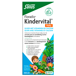Salus Floradix Kindervital Fruity 250ML
