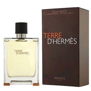 Hermes Terre D' Hermes Eau Intense Vetiver Eau de Toilette 100ML