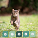 Synopet Cat Joint Support 75ML