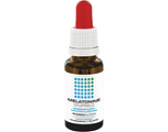 Pharmanutrics Melatonine Druppels 20ML