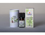 Volatile Engelwortel (Angelica Archangelica) 2,5ml 2,5ML