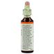 Bach Flower Remedies Zonneroosje 26 20ML Bach Flower Remedies Zonneroosje 26 20ML