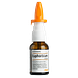 Heel Euphorbium Neusspray 20ML
