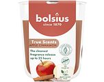 Bolsius True Scents Apple Cinnamon 1ST