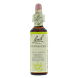 Bach Flower Remedies Kamperfoelie 16 20ML