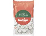 Bolsius Theelicht Wit 6 Uur 60ST