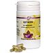 Holisan Ajowan Capsules 60CP