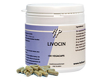 Holisan Livocin Capsules 100CP