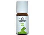 Jacob Hooy Essentiële Olie Salie 10ML Jacob Hooy Essentiële Olie Salie 10ML