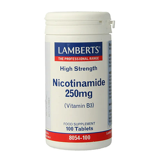 Lamberts Nicotinamide 250 mg Tablett 100TB