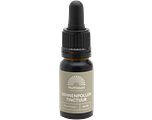 Mattisson HealthStyle Pine Pollen Dennenpollen Tinctuur Druppels 10ML