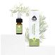 Chi Natural Life Chi Rozemarijn Verbenon Eko Olie 2,5ML sfeerbeeld Chi Natural Life Chi Rozemarijn Verbenon Eko Olie 2,5ML sfeerbeeld