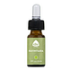 Chi Natural Life Ravintsara Etherische Olie Bio 10ML flesje