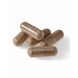 Biotics VHP Capsules 90CP