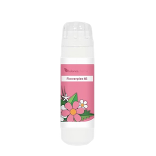 Balance Pharma Flowerplex 066 Troost 6GR