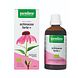 Purasana Echinacea Forte+ Druppels 100ML