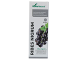 Soria Natural Ribes Nigrum XXI Extract 50ML