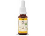 Lemon Pharma Bach NO.6 Cherry Plum 20ML